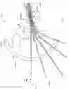 Fig. 06 - Encapsulated opto-electronic system for co-directional imaging in multiple fields of view