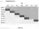 Fig. 07 - Carrier for the oral absorption of an active substance by animals, method for preparing same and uses thereof