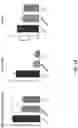 Fig. 02 - COMPOSITIONS AND METHODS FOR THE REDUCTION OR TREATMENT OF FIBROSIS