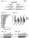 Fig. 02 - METHOD OF TREATING CANCER PREFERABLY CHARACTERIZED BY EXPRESSION OF A FUSION PROTEIN COMPRISING A MEMBER OF THE E-TWENTY-SIX FAMILY BY ADMINISTERING AN AGENT THAT INHIBITS THE SYNTHESIS AND/OR ACTIVITY OF CORTISOL