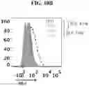 Fig. 34 - Immune cell compositions and methods of use for treating viral and other infections