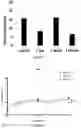 Fig. 02 - MITOCHONDRIAL AUGMENTATION THERAPY OF RENAL DISEASES