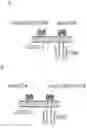 Fig. 01 - CO-RECEPTOR SYSTEMS FOR TREATING INFECTIOUS DISEASES