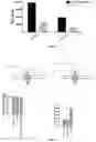 Fig. 09 - CO-RECEPTOR SYSTEMS FOR TREATING INFECTIOUS DISEASES