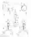 Fig. 02 - Process and apparatus for killing skin or tissue surface bacteria