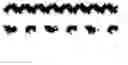 Fig. 02 - NADPH oxidase inhibitors, pharmaceutical composition comprising the same, and application thereof