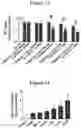 Fig. 09 - COMPOSITIONS AND METHODS FOR TREATING CANCERS