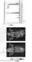 Fig. 09 - TRIAZAMACROCYCLE-DERIVED CHELATOR COMPOSITIONS FOR COORDINATION OF IMAGING AND THERAPY METAL IONS AND METHODS OF USING SAME