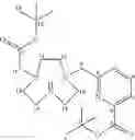 Fig. 48 - TRIAZAMACROCYCLE-DERIVED CHELATOR COMPOSITIONS FOR COORDINATION OF IMAGING AND THERAPY METAL IONS AND METHODS OF USING SAME
