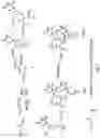 Fig. 02 - Synthesis and biological activity of phosphoramidimidate and phosphoramidate DNA