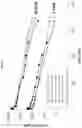 Fig. 45 - Fibronectin based scaffold domain proteins that bind PCSK9