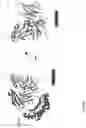 Fig. 49 - Antibodies against ILT2