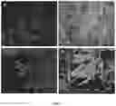Fig. 02 - Fracturing fluid composition and method for in situ generation of geomimetic crystal network proppants