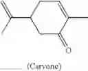 Fig. 49 - Isobutyric ester compound having acetoxy group at alpha-position, fragrance composition, and use thereof as fragrance
