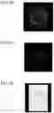 Fig. 08 - CELL-CONTAINING CONTAINER, METHOD FOR EVALUATING TEST SUBSTANCE, AND METHOD FOR MANUFACTURING CELL-CONTAINING CONTAINER