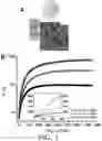 Fig. 02 - CELL LINKERS FOR HETEROTYPIC CELL SPHEROIDS