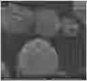 Fig. 01 - AGGREGATE OF CELL CARRIER PARTICLES AND METHOD FOR PREPARING SAME