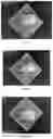 Fig. 08 - AGGREGATE OF CELL CARRIER PARTICLES AND METHOD FOR PREPARING SAME
