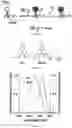 Fig. 02 - Methods of Imaging and Tracking Nucleic Acids in Cells
