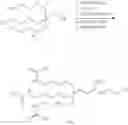 Fig. 166 - Compositions and methods for modulating PKK expression
