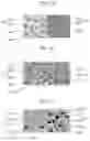 Fig. 04 - Light source device and lighting device