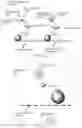 Fig. 07 - SYSTEMS AND METHODS FOR DETECTION OF TARGET ANALYTES USING SELECTIVELY CLEAVABLE BONDS