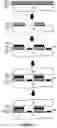 Fig. 08 - Distance detecting systems for use in mobile machines including gallium and nitrogen containing laser diodes