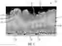 Fig. 08 - System and method for automated microstructure analysis