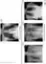 Fig. 03 - Deep neural network based identification of realistic synthetic images generated using a generative adversarial network