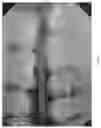Fig. 07 - Dental imaging system utilizing artificial intelligence
