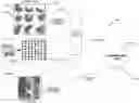 Fig. 01 - Systems and methods for automatic detection and quantification of pathology using dynamic feature classification
