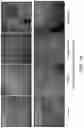 Fig. 22 - Systems and methods for detection of ocular disease