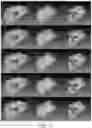 Fig. 08 - Systems and methods for depth estimation by learning triangulation and densification of sparse points for multi-view stereo