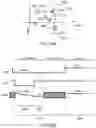 Fig. 48 - Systems and methods for operating pixels in a display to mitigate image flicker