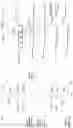 Fig. 02 - Non volatile flash memory with improved verification recovery and column seeding