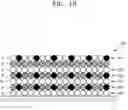 Fig. 20 - Ferroelectric thin-film structure and electronic device including the same