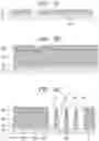 Fig. 08 - Photoelectric conversion element and photoelectric conversion module