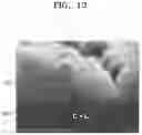 Fig. 13 - All-solid secondary battery and method of preparing the same
