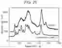 Fig. 14 - Solid electrolyte, method for producing solid electrolyte, and composite body