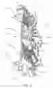 Fig. 06 - Cooling radiator for motor fan unit