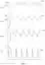 Fig. 04 - ACTIVE BRIDGE RECTIFIER