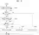 Fig. 37 - Method and apparatus for encoding/decoding an image