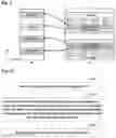 Fig. 06 - Random access method and apparatus and communication system