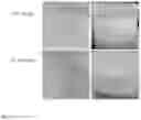 Fig. 03 - DAIRY PRODUCTS AND METHODS FOR PRODUCING THEM