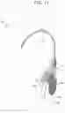 Fig. 12 - WORK LIGHT
