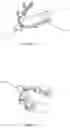 Fig. 15 - Oral applicator device