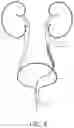 Fig. 13 - UROLOGIC STENTS AND METHODS OF USE
