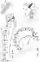 Fig. 48 - Annuloplasty technologies