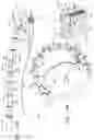 Fig. 49 - Annuloplasty technologies