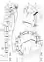 Fig. 55 - Annuloplasty technologies